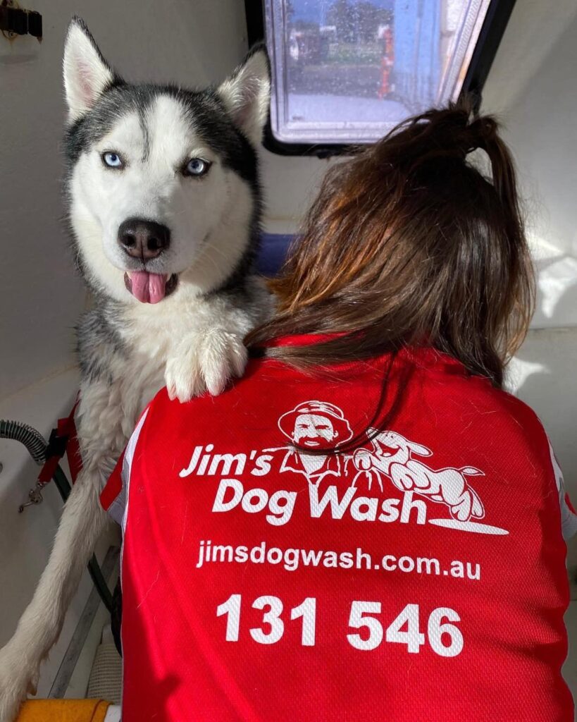 Jim's Dog Wash