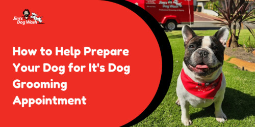 How to Help Prepare Your Dog for It’s Dog Grooming Appointment