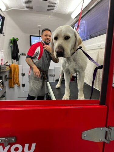 🐶💋 Why Does My Dog Lick Me So Much? The Answer Might Surprise You