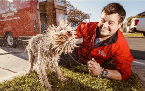 Matted Dog Hair: Why You Should Never Ignore Knots in Your Dog’s Coat