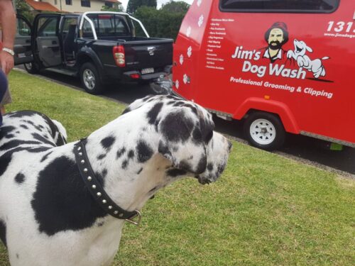 Jim’s Dog Wash Continues to Grow – Better Coverage, Better Technology and More Support Than Ever