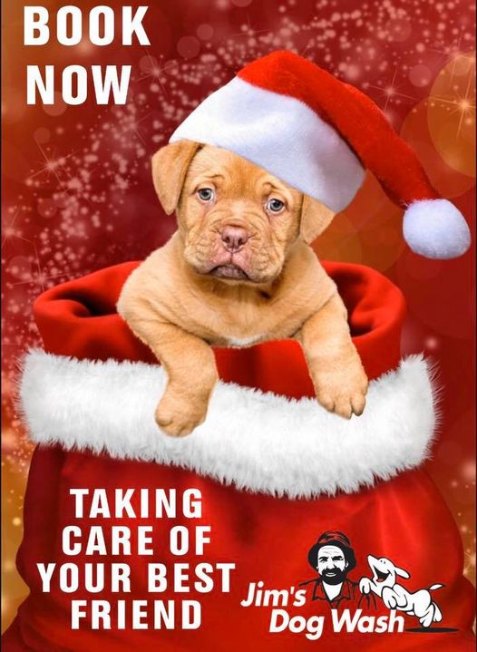 Pet Care During The Holiday Season